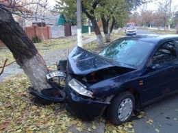 В Бердянске пьяный водитель влетел на машине в дерево