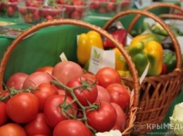 В Крыму продукты стоят дороже, чем в Подмосковье, – Минпромполитики