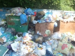 Аксенов о ситуации с мусором в Крыму: «стыдоба и гадюшник»