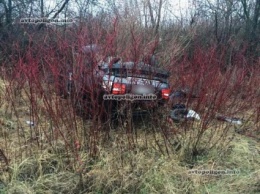 ДТП на Львовщине: женщина за рулем Volvo вылетела в кювет - погибли двое. ФОТО