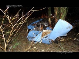 ДТП на Сумщине: ВАЗ разорвало об дерево - погиб водитель. ФОТО+видео