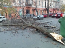 Сильный ветер повалил в Одессе трубы и деревья. Есть раненые