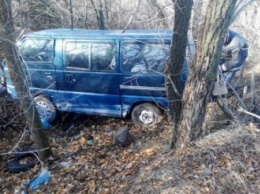 На автодороге Днепропетровщины микроавтобус слетел с дороги в кювет
