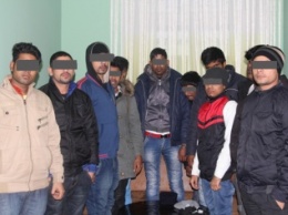 В Ровно задержали 11 мужчин-нелегалов из Индии и Шри-Ланки