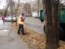 В Центральном районе Николаева занялись уборкой опавших листьев