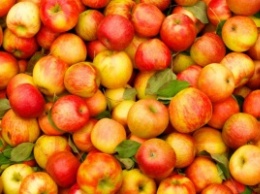 Полезные свойства яблок, о которых вы вряд ли догадывались
