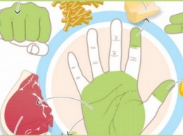 Объясняем на пальцах: сколько еды нужно съедать за раз. Да это же лучше любой диеты!