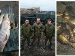 Волонтеры зафиксировали стягивание войск РФ к границе Украины