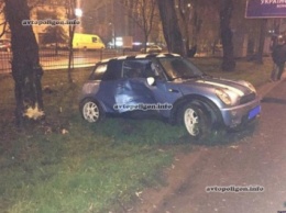 ДТП во Львове: пьяный работник таможни разбил об дерево свой MINI Cooper. ФОТО
