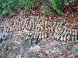 В лесу на Раховщине обнаружили целый арсенал боеприпасов (ФОТО, ВИДЕО)