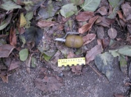 Женщина нашла гранату возле дома в Мариуполе