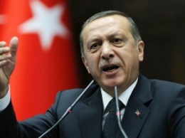 Эрдоган назвал реакцию России на сбитый Су-24 «недостойной для политиков»