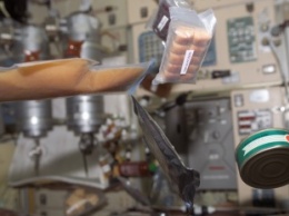 NASA хочет использовать бактерии в качестве источника энергии в космосе