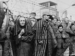 Санитар из Освенцима, доживший до 95 лет, предстанет перед судом