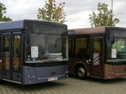 Автобусы МАЗ добрались до Петербурга, чтобы возить пассажиров в Колпино