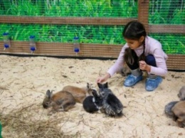 В Голосеево открыли контактный зоопарк для детей