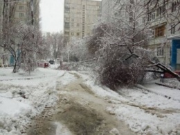 Более 300 коммунальщиков привлечены к ликвидации непогоды в Харькове