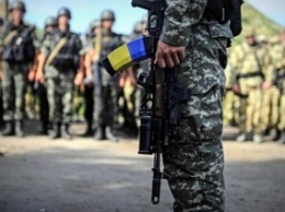 Полторак заявил, что в украинской армии продолжается наращивание боевого состава Сухопутных войск