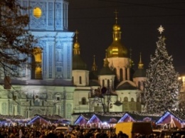 В Киев завтра привезут главную новогоднюю елку страны