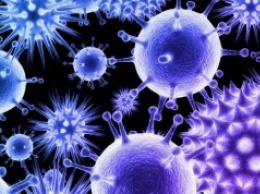 Ученые обнаружили в Европе новую смертельную инфекцию