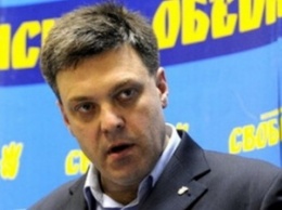 ВО "Свобода" призвала украинцев 8 декабря выйти под Верховную Раду