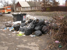 В центре Запорожья никто не может справиться со свалкой мусора