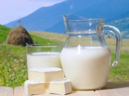 3 полезных факта о молоке