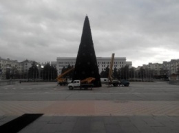 В Луганске завершился монтаж новогодней елки