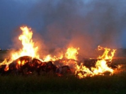 На Николаевщине при пожаре на военном полигоне четверо солдат получили ожоги