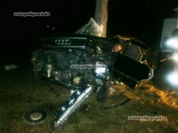 ДТП в Белой Церкви: Audi-100 врезался в дерево - погиб водитель. ФОТО