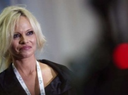 Кинозвезда Памела Андерсон возмущена гибелью тигрят в Крыму