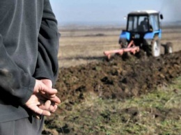 Рада намерена установить минимальный срок аренды сельхозземель в 10 лет