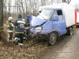 ДТП на Черкассчине: ГАЗель врезалась в дерево - пассажира извлекали спасатели. ФОТО+видео