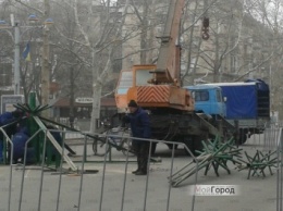В центре Николаева начали монтировать новогоднюю елку