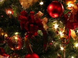 На Луганщине первую живую новогоднюю елку установят 19 декабря