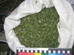 У жителя Днепропетровщины изъяли 5 кг марихуаны