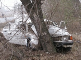 Возле блокпоста на Луганщине водитель въехал в дерево (фото)