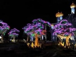 ОАЭ: В Дубае появится сад, светящийся в темноте