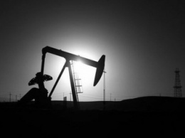 Цена на нефть стремительно падает