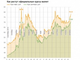 Официальный курс доллара в России достиг исторического максимума