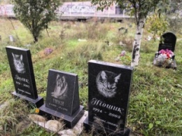 Чиновник рассказал, когда достроят кладбище для домашних животных в Киеве
