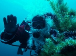 В Днепропетровске нарядят елку под водой