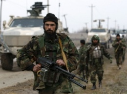 Армия Афганистана пытается оттеснить талибов на юге
