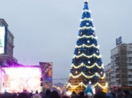 В оккупированном Донецке открыли новогоднюю елку