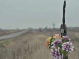 Трагедия в запорожском селе: ногу сбитой девушки искали сутки