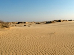 Нацпарк "Олешковские пески" из Херсонской области жалуется на захват территории военными