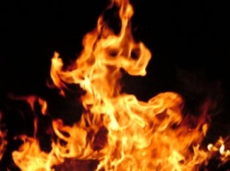 В Херсонской обл. ночью горели семь деревянных домиков базы отдыха, - ГосЧС