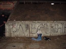 В Киеве возле подземного перехода нашли пакет с телом младенца