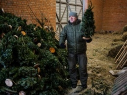 Киевляне привезли в Межигорский зоопарк полтонны неиспользованных елок