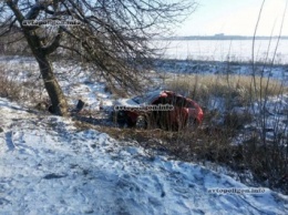 ДТП на Сумщине: Citroen C4 врезался в дерево - водитель погиб. ФОТО